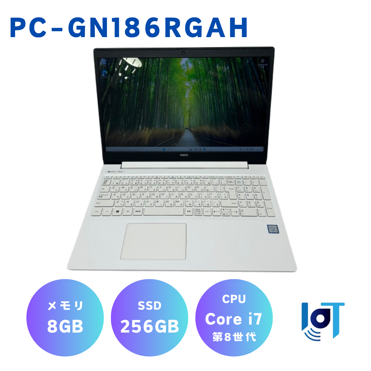NEC PC-GN186RGAH 17002391F
