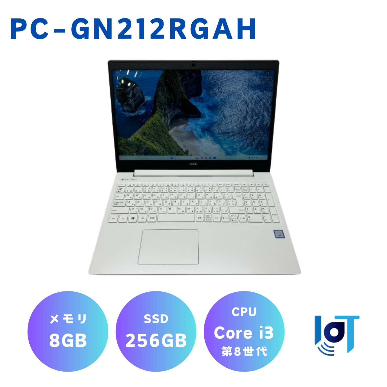 NEC PC-GN212RGAH 19003251G