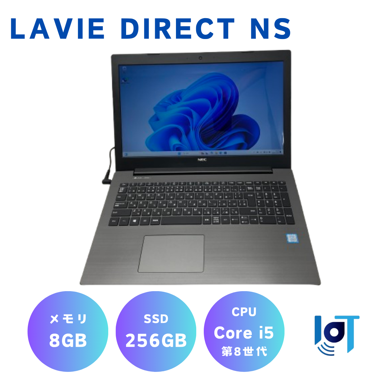 LAVIE Direct NS PC-GN165GDAD